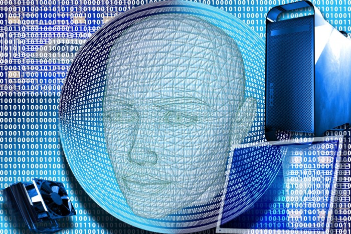 Digital Free Stock Photo - Public Domain Pictures